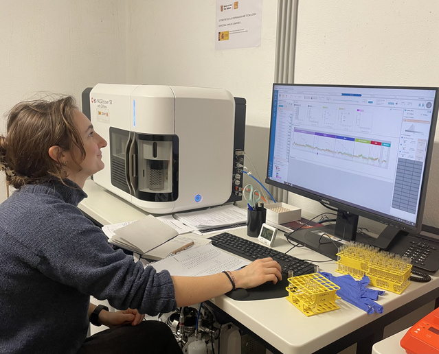 The picture shows a PhD student working on a computer. 